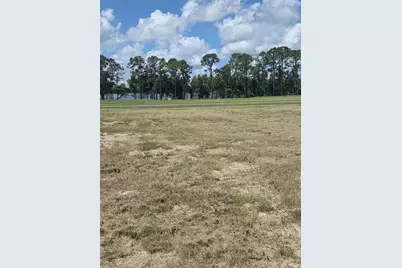 38401 Wooded Meadow Drive, Umatilla, FL 32784 - Photo 5