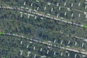 8650 Sanada St, Sebring, FL 33872 - Photo 1