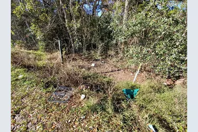 524 S US Highway 27 - 441 #441, Lady Lake, FL 32159 - Photo 5