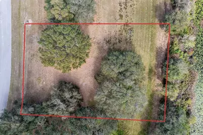 Royal Palm Dr, Groveland, FL 34736 - Photo 7