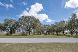 Royal Palm Dr, Groveland, FL 34736 - Photo 1