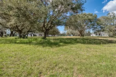 Royal Palm Dr, Groveland, FL 34736 - Photo 5
