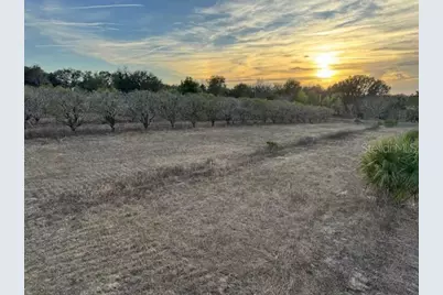 000 SE Se 165th Avenue, Weirsdale, FL 32195 - Photo 5