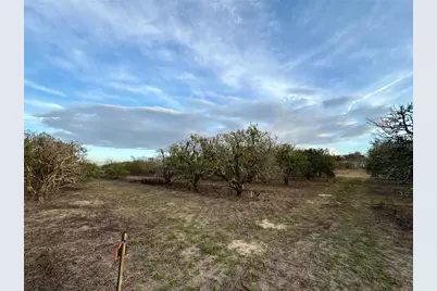 Se 165th Avenue, Weirsdale, FL 32195 - Photo 3