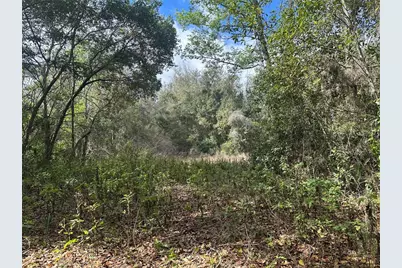 S Lake Hiawatha Drive, Lady Lake, FL 32159 - Photo 9