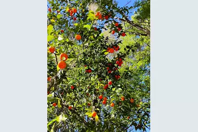 S Lake Hiawatha Drive, Lady Lake, FL 32159 - Photo 5