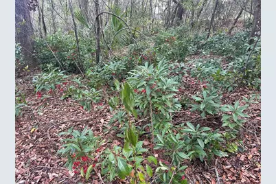 S Lake Hiawatha Drive, Lady Lake, FL 32159 - Photo 11