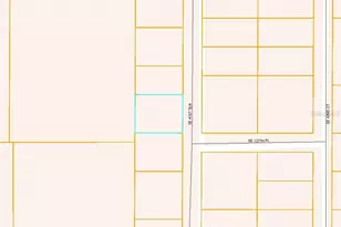 SE 41st Terrace, Belleview, FL 34420 - Photo 1