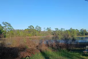 43648 S Island Dr, Paisley, FL 32767 - Photo 23