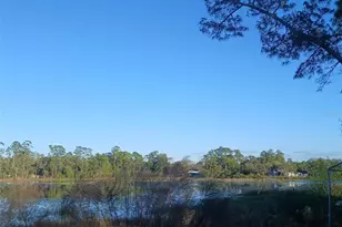 43648 S Island Dr, Paisley, FL 32767 - Photo 11