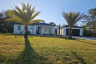 42329 Chinaberry St, Eustis, FL 32736 - Photo 3