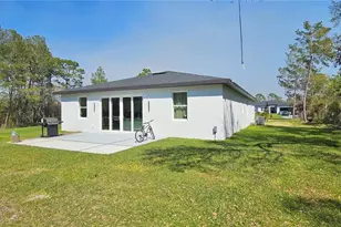 42329 Chinaberry St, Eustis, FL 32736 - Photo 9