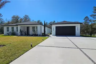 42329 Chinaberry St, Eustis, FL 32736 - Photo 7