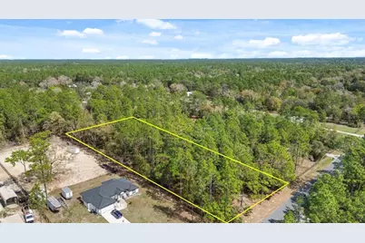 Tbd SW 60th Street, Dunnellon, FL 34432 - Photo 3