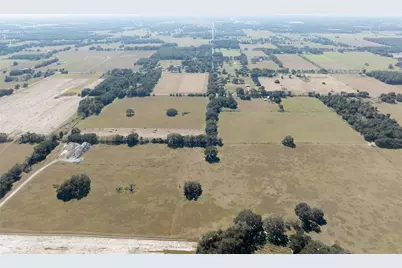 1480 Oxford Preserve Trl, Oxford, FL 34484 - Photo 11