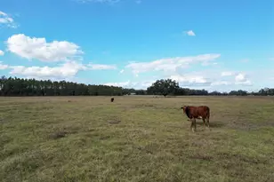 993 Cr 722, Webster, FL 33597 - Photo 77