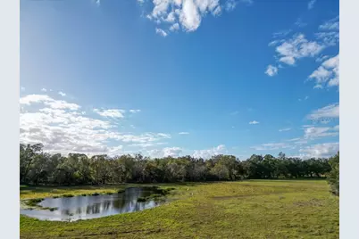 993 Cr 722, Webster, FL 33597 - Photo 89