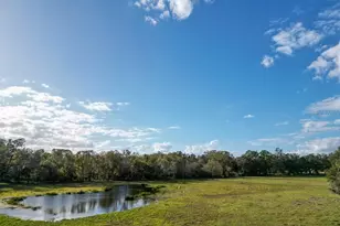 993 Cr 722, Webster, FL 33597 - Photo 89