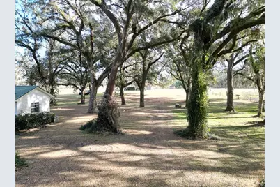 993 Cr 722, Webster, FL 33597 - Photo 45