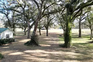 993 Cr 722, Webster, FL 33597 - Photo 45