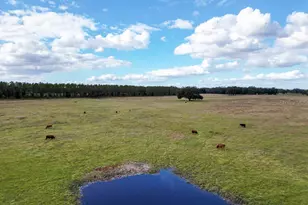 993 Cr 722, Webster, FL 33597 - Photo 75