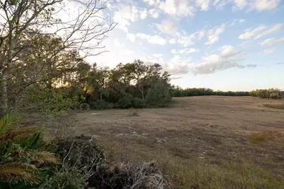 993 Cr 722, Webster, FL 33597 - Photo 59