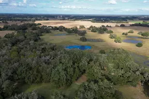 993 Cr 722, Webster, FL 33597 - Photo 81