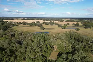 993 Cr 722, Webster, FL 33597 - Photo 95