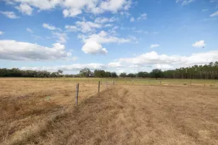 993 Cr 722, Webster, FL 33597 - Photo 51