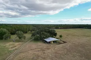 993 Cr 722, Webster, FL 33597 - Photo 65