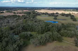 993 Cr 722, Webster, FL 33597 - Photo 79