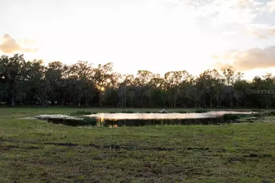 993 Cr 722, Webster, FL 33597 - Photo 61