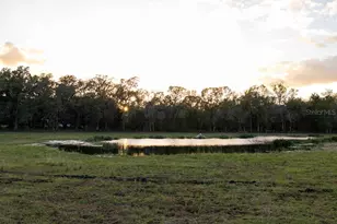 993 Cr 722, Webster, FL 33597 - Photo 61