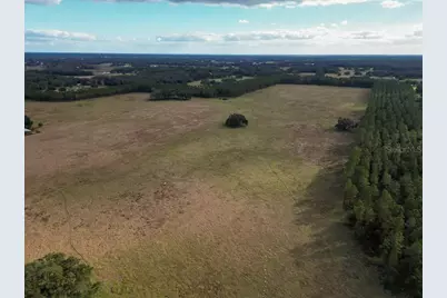 993 Cr 722, Webster, FL 33597 - Photo 83