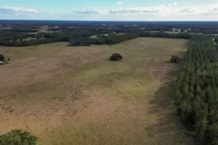 993 Cr 722, Webster, FL 33597 - Photo 83