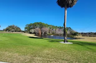 1 Robin Rd, Wildwood, FL 34785 - Photo 47