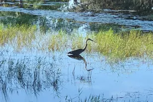 25527 Oak Alley, Leesburg, FL 34748 - Photo 93