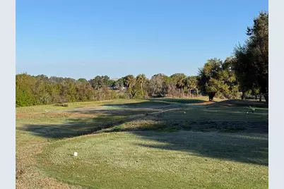 25527 Oak Alley, Leesburg, FL 34748 - Photo 63