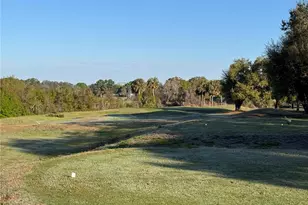 25527 Oak Alley, Leesburg, FL 34748 - Photo 63