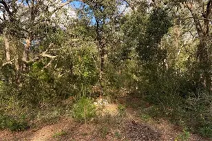 Dogwood Way, Lady Lake, FL 32159 - Photo 1