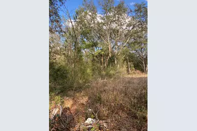 Dogwood Way, Lady Lake, FL 32159 - Photo 5