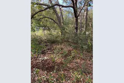 Dogwood Way, Lady Lake, FL 32159 - Photo 3