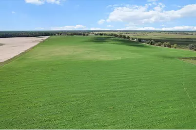 (190 Ac-See Addt'l Pid's) NW 225th Avenue, Dunnellon, FL 34431 - Photo 3