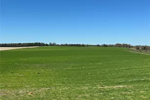 (190 Ac-See Addt'l Pid's) NW 225th Ave, Dunnellon, FL 34431 - Photo 1