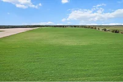 (190 Ac-See Addt'l Pid's) NW 225th Avenue, Dunnellon, FL 34431 - Photo 11