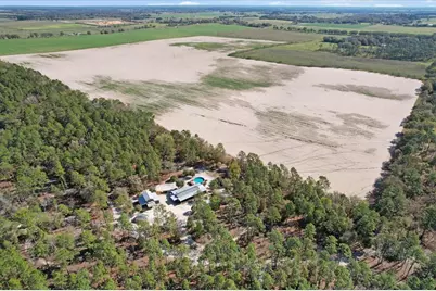 (190 Ac-See Addt'l Pid's) NW 225th Avenue, Dunnellon, FL 34431 - Photo 15