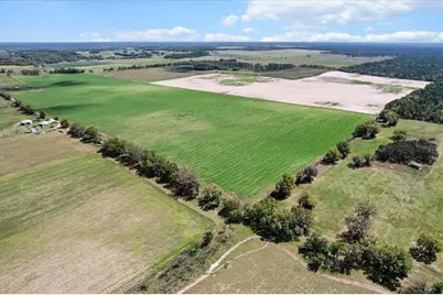 (190 Ac-See Addt'l Pid's) NW 225th Avenue, Dunnellon, FL 34431 - Photo 5
