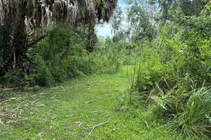 6001 Bird Island Dr, Lady Lake, FL 32159 - Photo 21