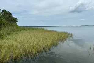 6001 Bird Island Dr, Lady Lake, FL 32159 - Photo 41
