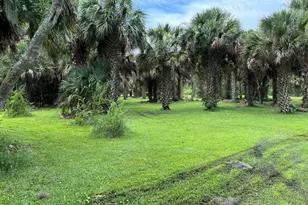 6001 Bird Island Dr, Lady Lake, FL 32159 - Photo 25